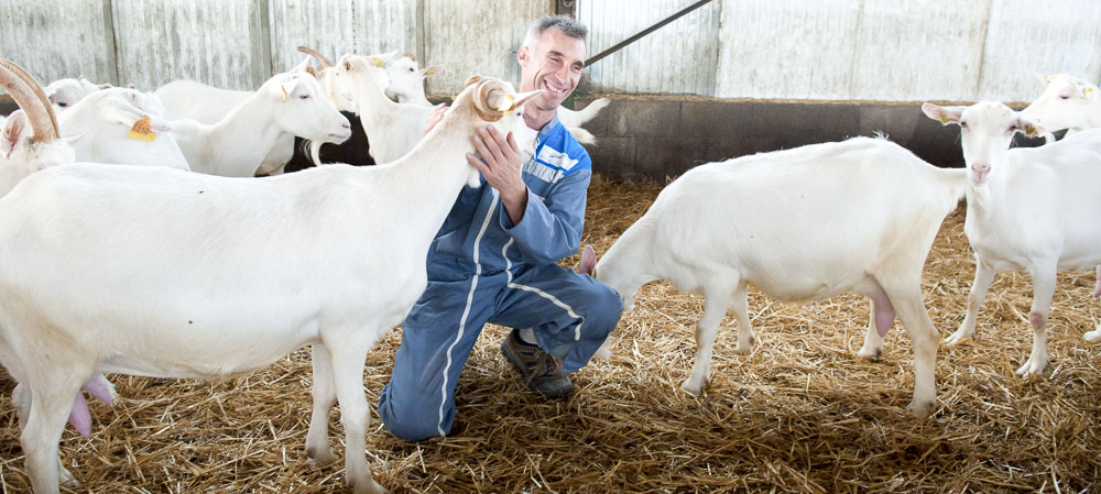 Photographe agroalimentaire - Maison du Lait / CNIEL